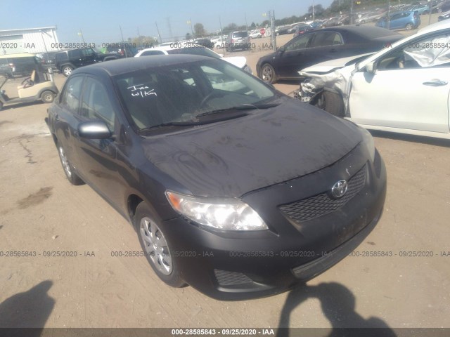 TOYOTA COROLLA 2010 2t1bu4eexac331099