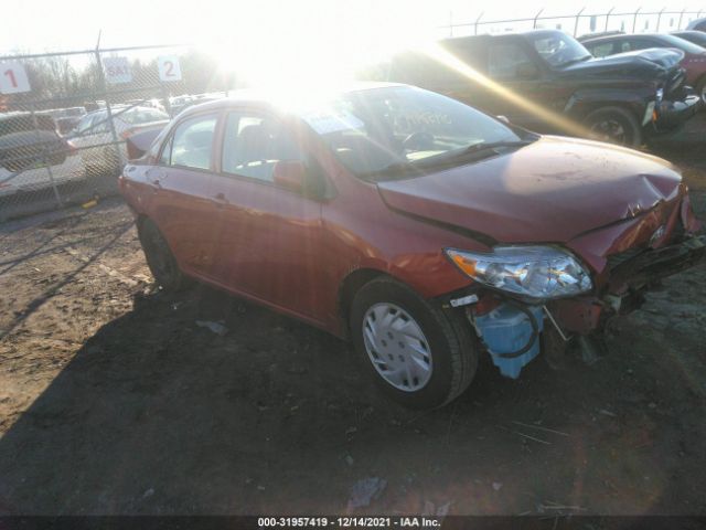 TOYOTA COROLLA 2010 2t1bu4eexac338893