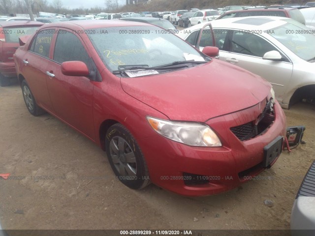 TOYOTA COROLLA 2010 2t1bu4eexac344516