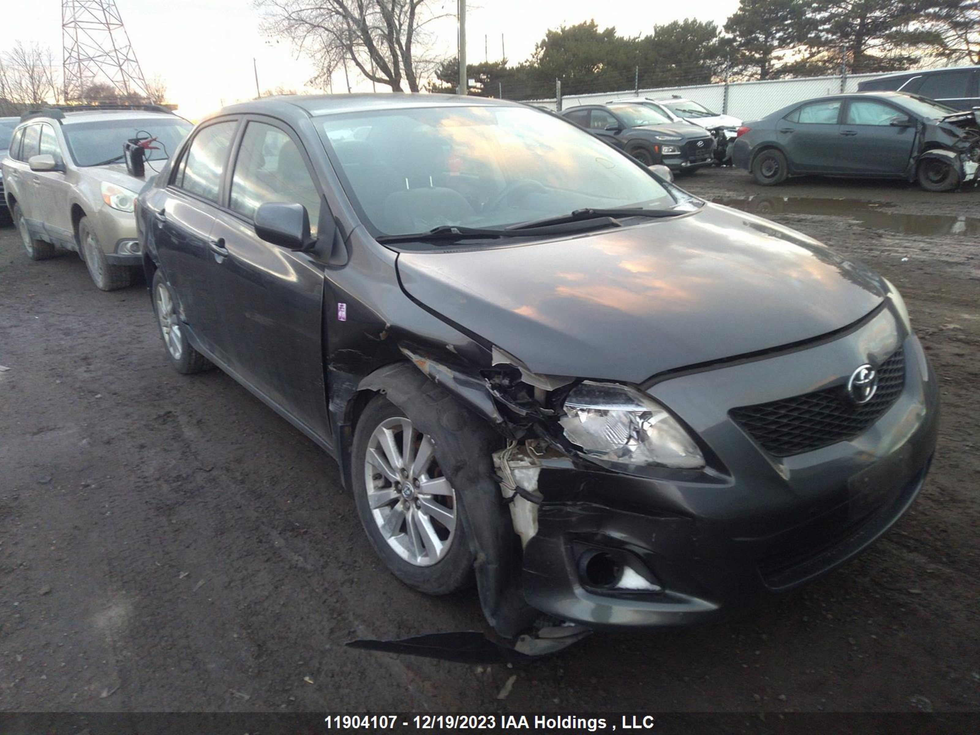 TOYOTA COROLLA 2010 2t1bu4eexac347755