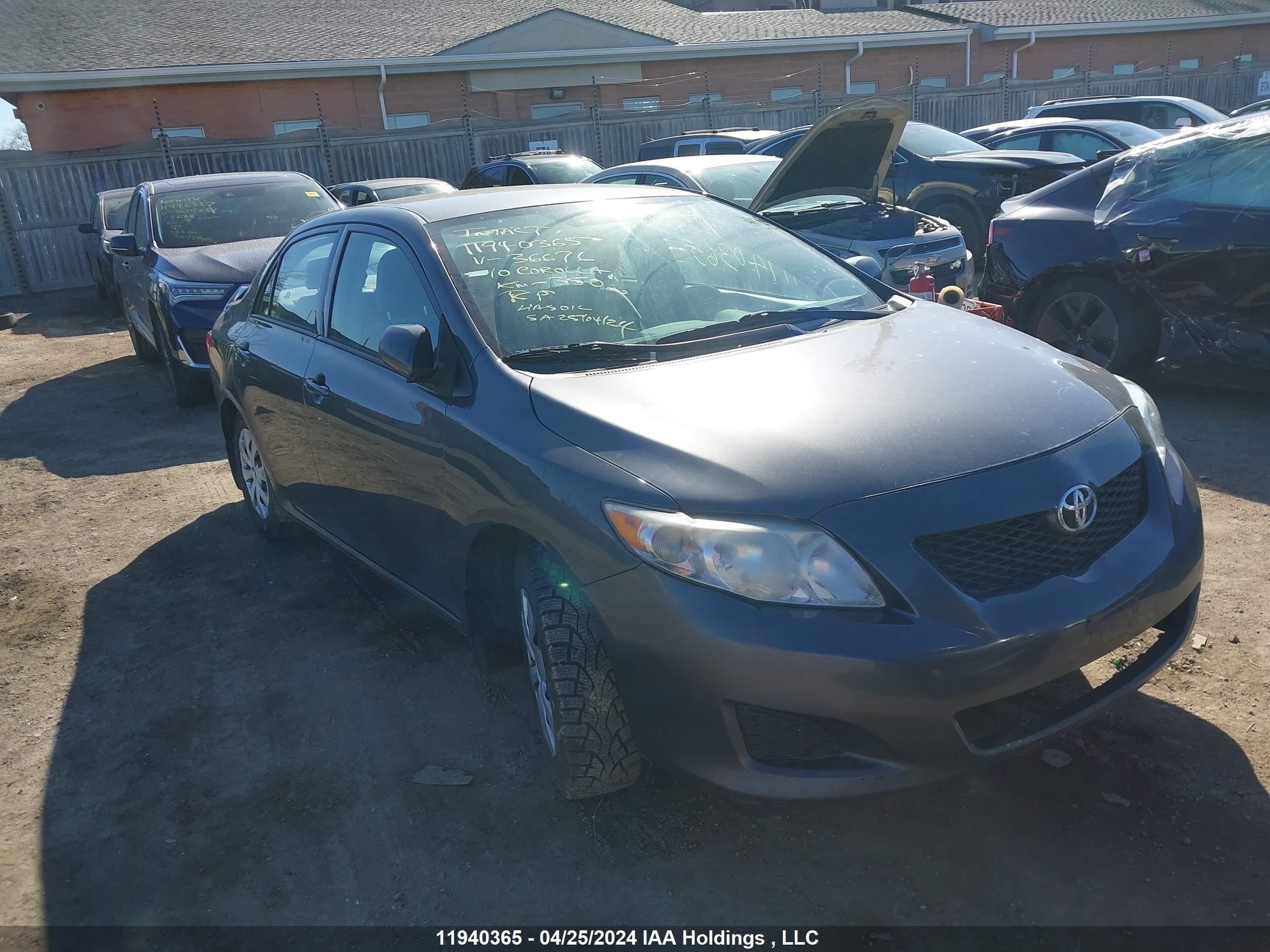 TOYOTA COROLLA 2010 2t1bu4eexac366676