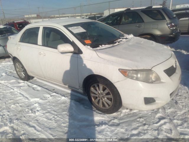 TOYOTA COROLLA 2010 2t1bu4eexac368377