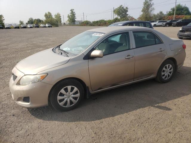 TOYOTA COROLLA 2010 2t1bu4eexac369352