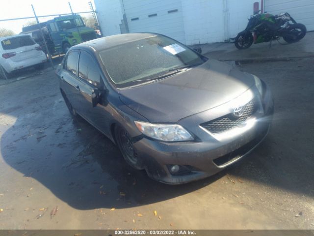 TOYOTA COROLLA 2010 2t1bu4eexac376673