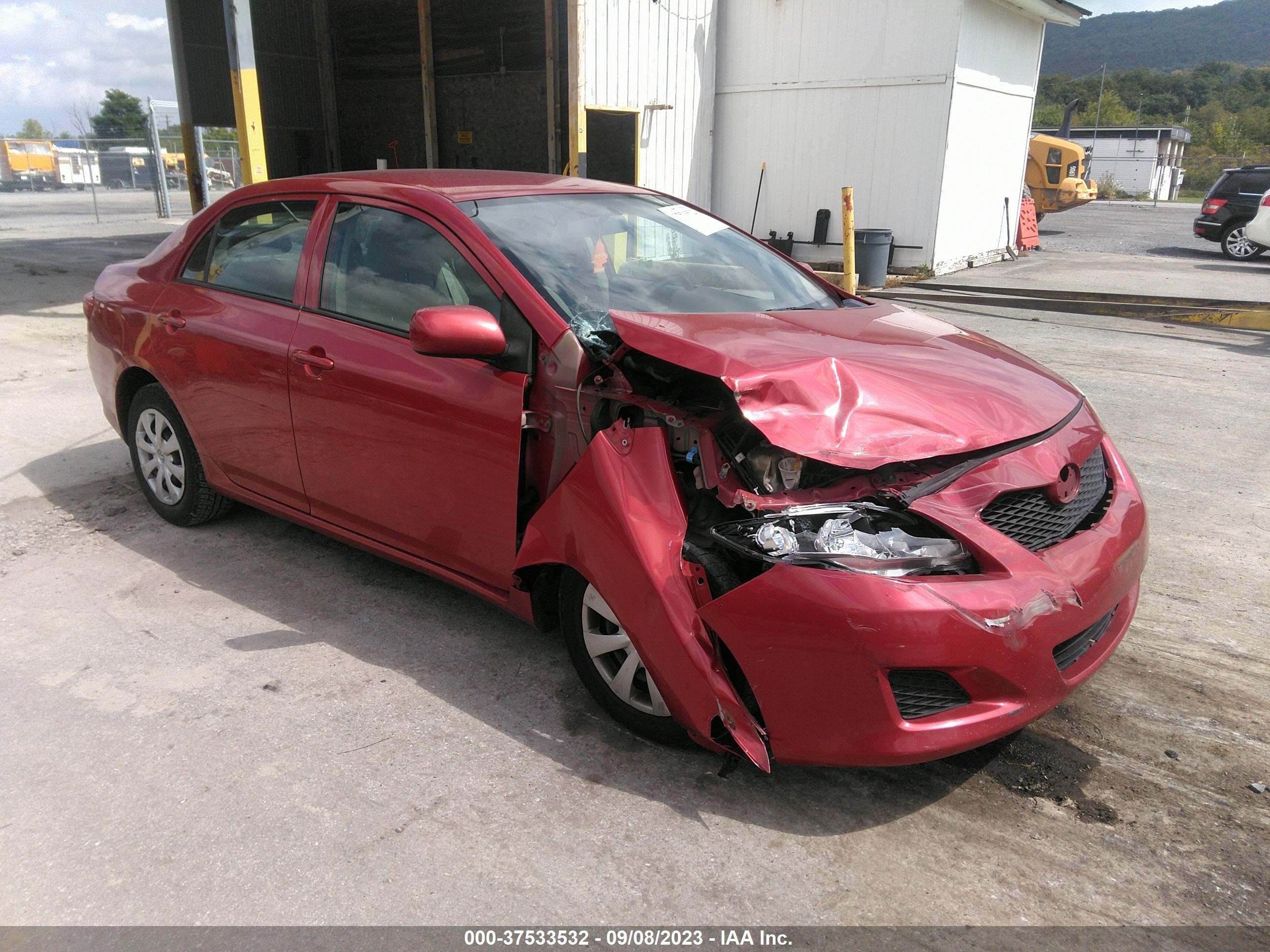 TOYOTA COROLLA 2010 2t1bu4eexac377743