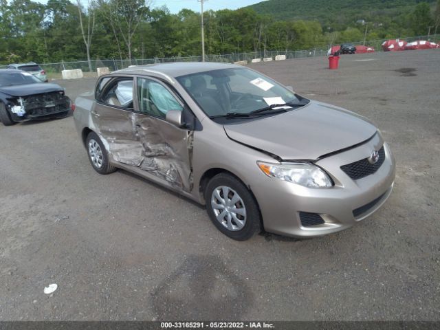 TOYOTA COROLLA 2010 2t1bu4eexac380075