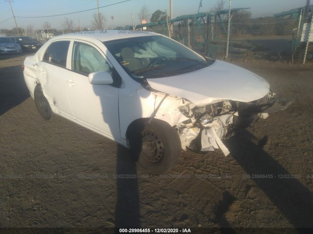 TOYOTA COROLLA 2010 2t1bu4eexac384305