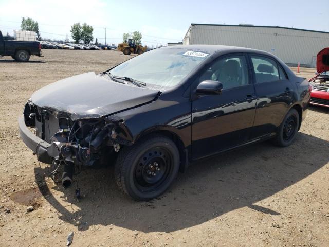 TOYOTA COROLLA 2010 2t1bu4eexac386412