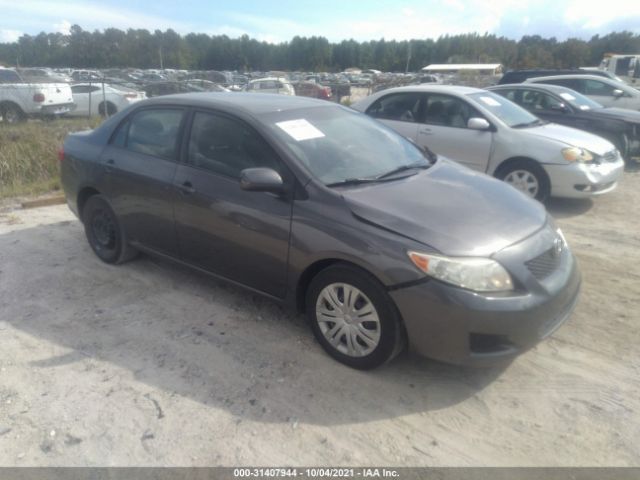 TOYOTA COROLLA 2010 2t1bu4eexac387401