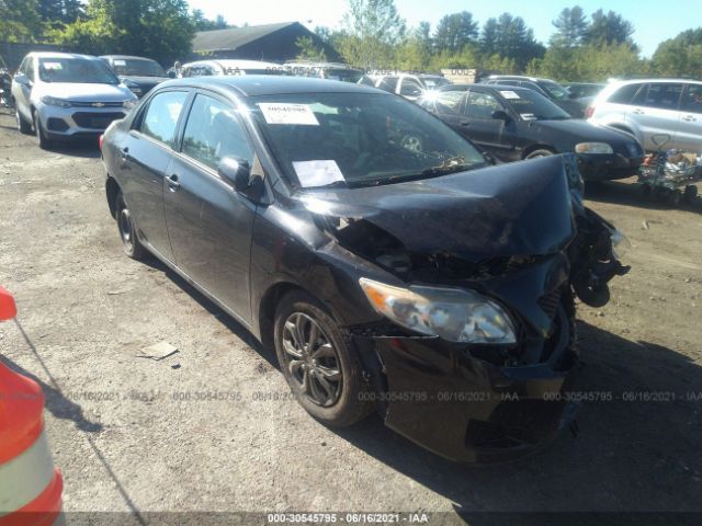 TOYOTA COROLLA 2010 2t1bu4eexac389780