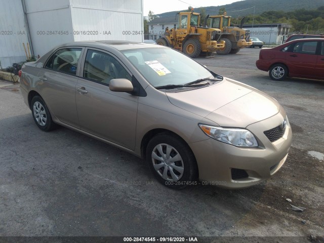 TOYOTA COROLLA 2010 2t1bu4eexac391187