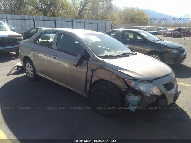 TOYOTA COROLLA 2010 2t1bu4eexac391531