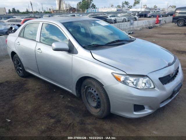 TOYOTA COROLLA 2010 2t1bu4eexac398561