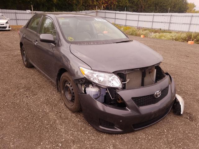 TOYOTA COROLLA BA 2010 2t1bu4eexac406089