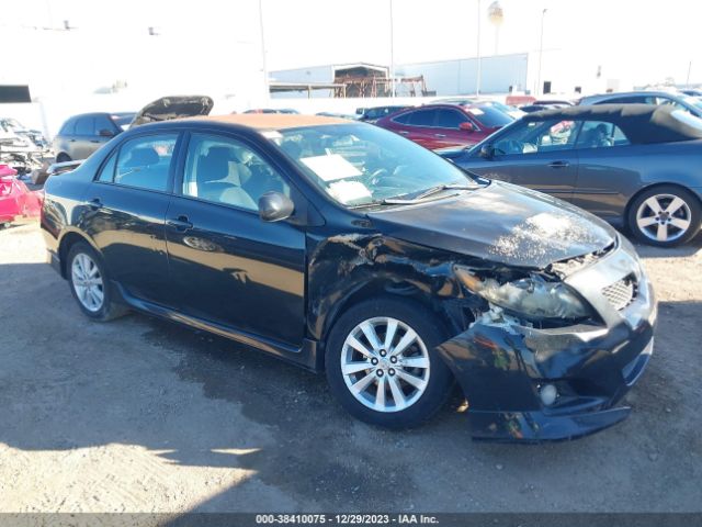 TOYOTA COROLLA 2010 2t1bu4eexac410191