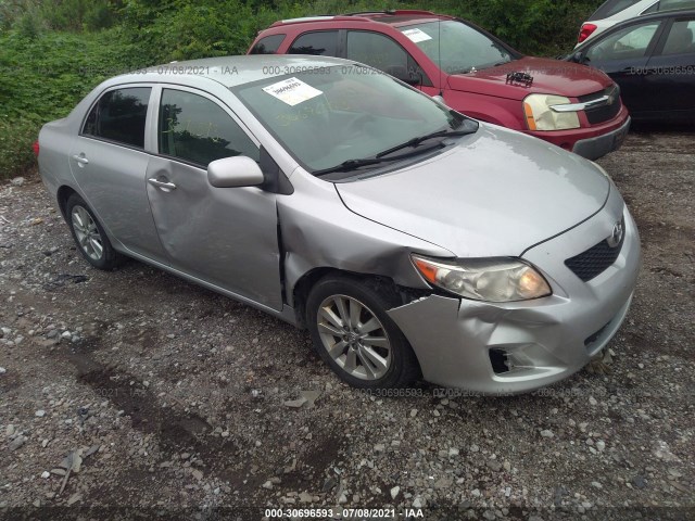 TOYOTA COROLLA 2010 2t1bu4eexac411194