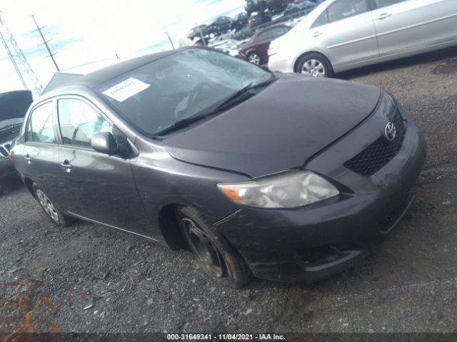 TOYOTA COROLLA 2010 2t1bu4eexac411471