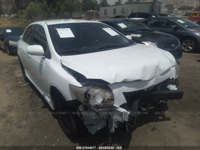 TOYOTA COROLLA 2010 2t1bu4eexac413379