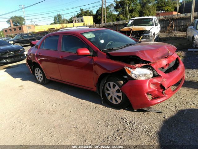 TOYOTA COROLLA 2010 2t1bu4eexac414824