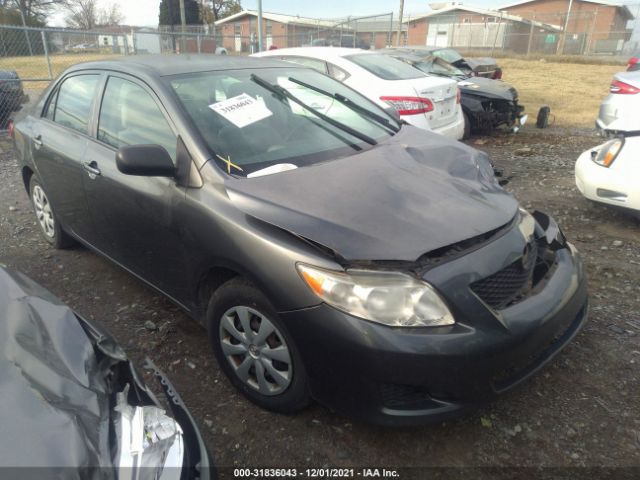 TOYOTA COROLLA 2010 2t1bu4eexac421188