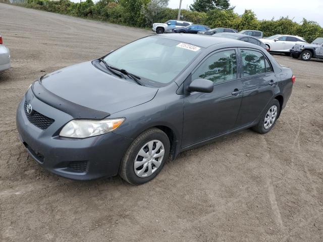 TOYOTA COROLLA BA 2010 2t1bu4eexac433552