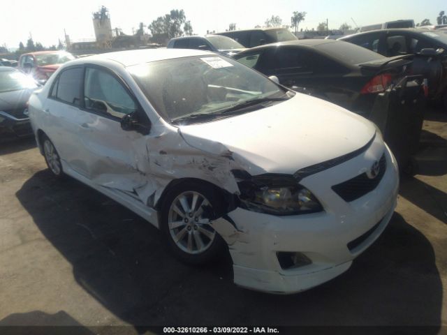 TOYOTA COROLLA 2010 2t1bu4eexac434457