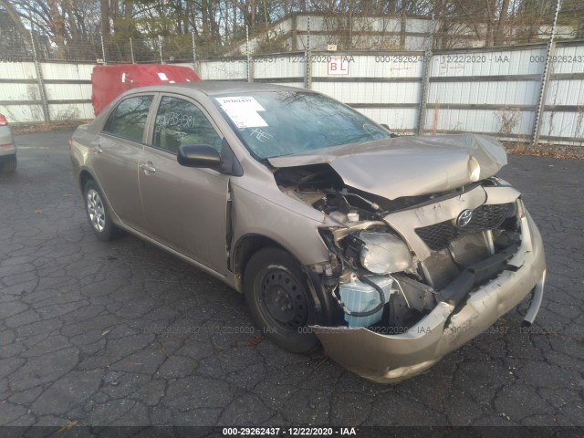 TOYOTA COROLLA 2010 2t1bu4eexac445118