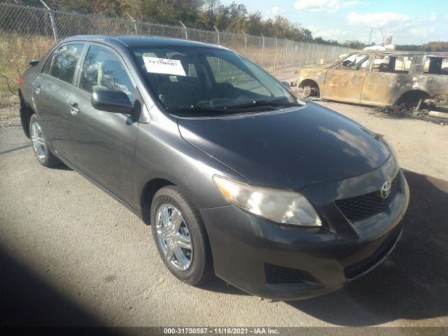 TOYOTA COROLLA 2010 2t1bu4eexac465238