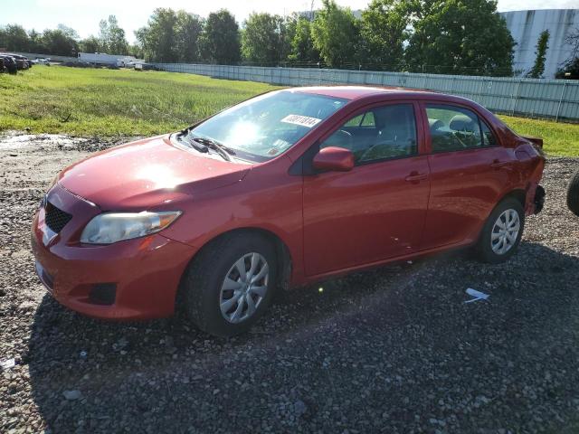 TOYOTA COROLLA 2010 2t1bu4eexac473498