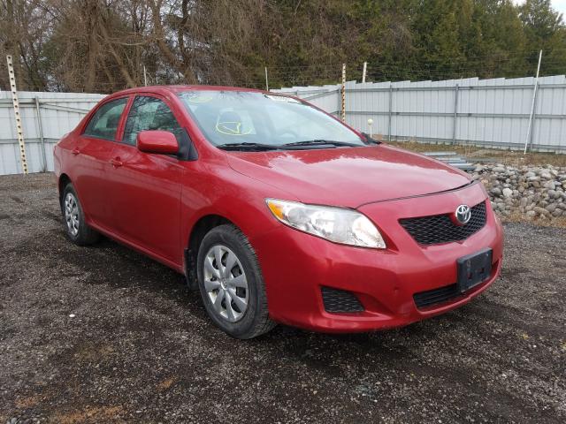 TOYOTA COROLLA BA 2010 2t1bu4eexac487319