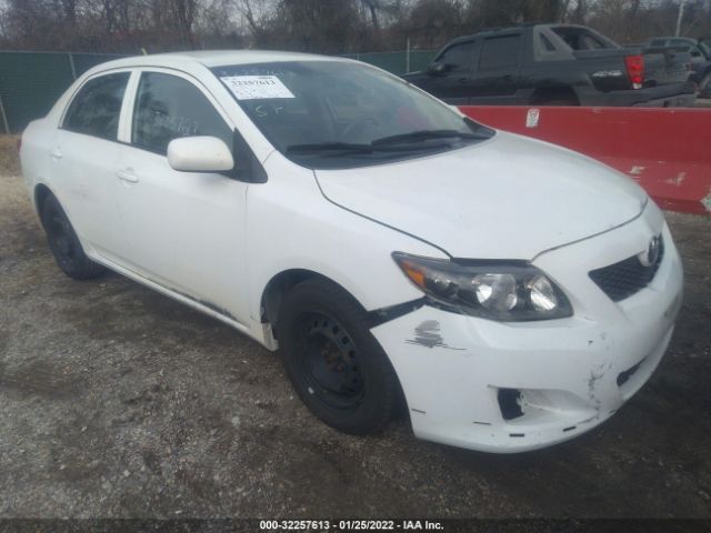 TOYOTA COROLLA 2010 2t1bu4eexac490799