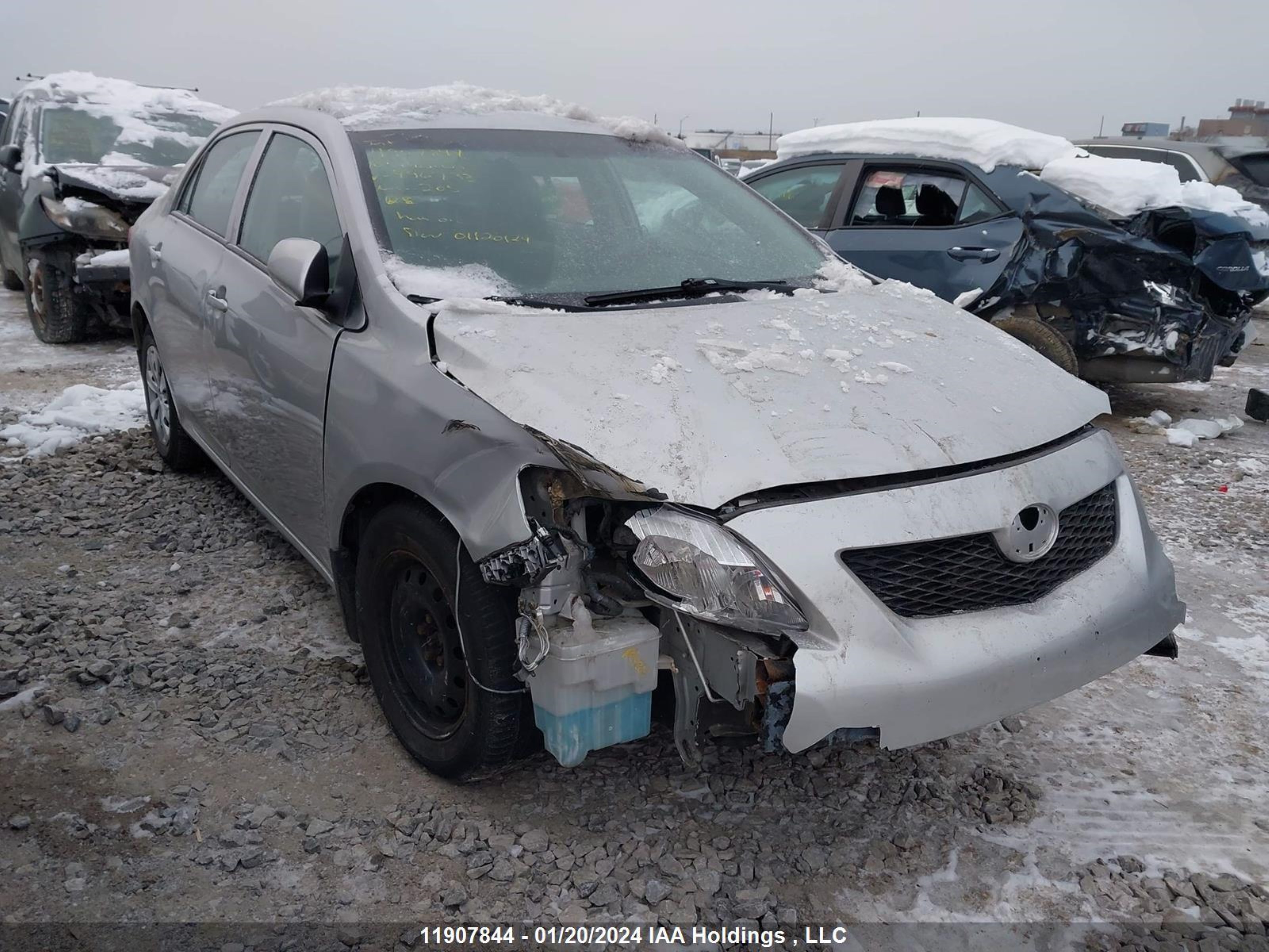 TOYOTA COROLLA 2010 2t1bu4eexac496733