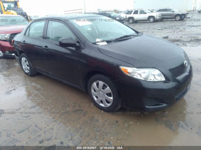 TOYOTA COROLLA 2010 2t1bu4eexac503289