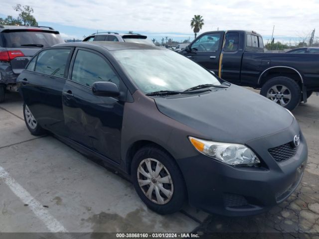 TOYOTA COROLLA 2010 2t1bu4eexac507021