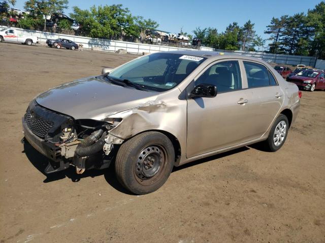 TOYOTA COROLLA 2010 2t1bu4eexac507276