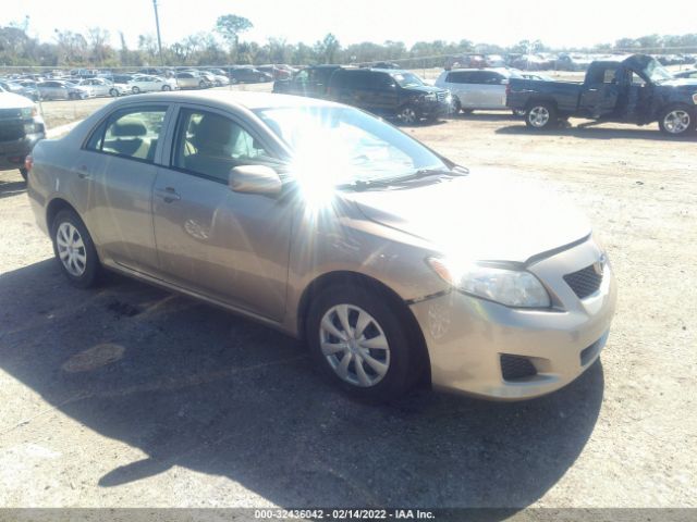 TOYOTA COROLLA 2010 2t1bu4eexac510565