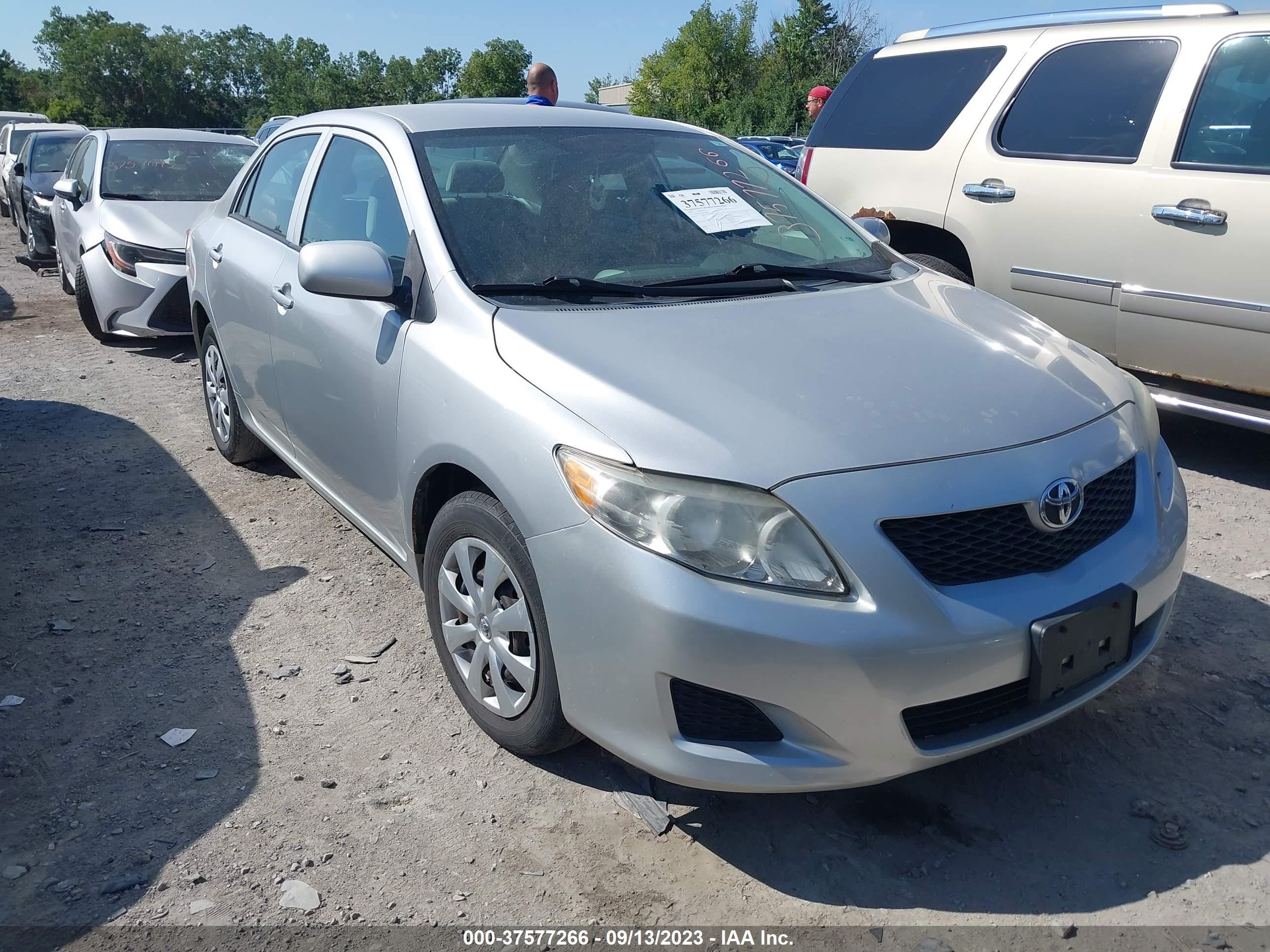 TOYOTA COROLLA 2010 2t1bu4eexac510632