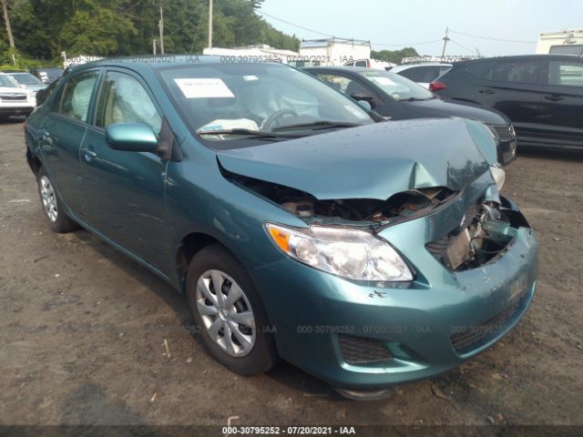 TOYOTA COROLLA 2010 2t1bu4eexac511876