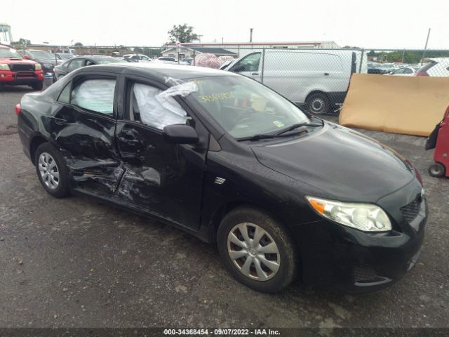 TOYOTA COROLLA 2010 2t1bu4eexac516804