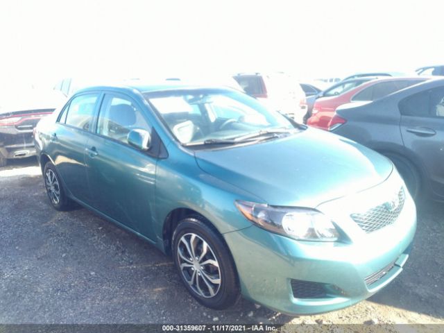 TOYOTA COROLLA 2010 2t1bu4eexac520934