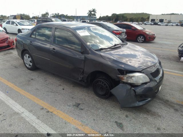 TOYOTA COROLLA 2010 2t1bu4eexac526314