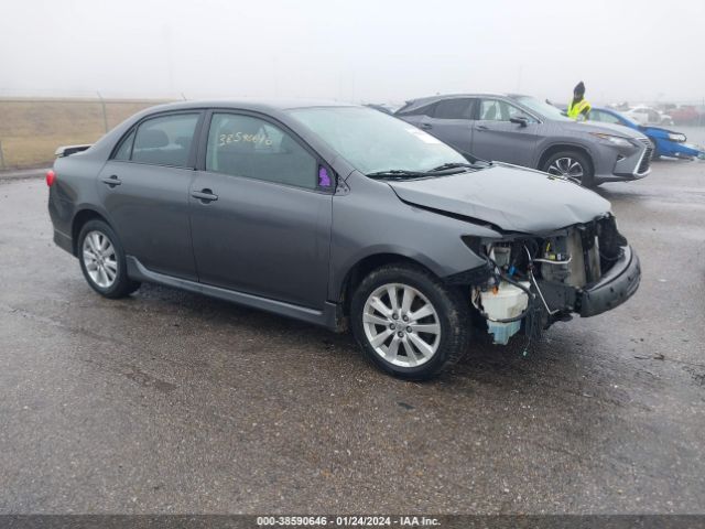 TOYOTA COROLLA 2010 2t1bu4eexac527446