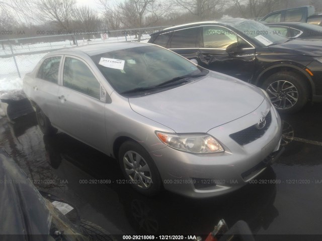 TOYOTA COROLLA 2010 2t1bu4eexac527558