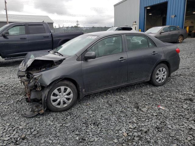 TOYOTA COROLLA 2011 2t1bu4eexbc714039