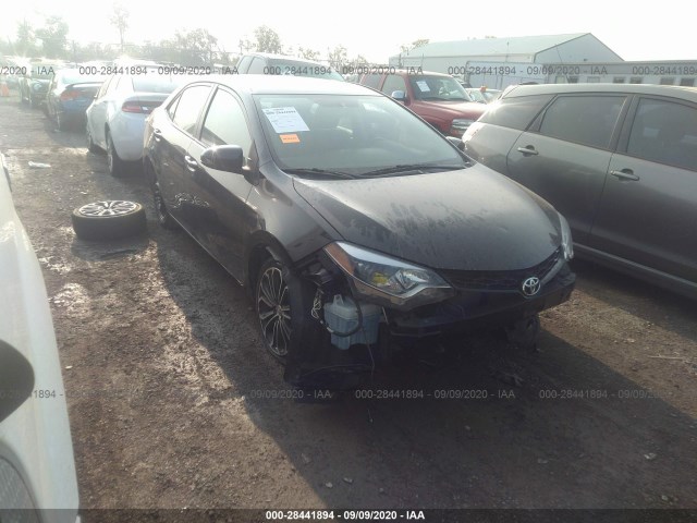 TOYOTA COROLLA 2016 2t1burhe0gc537419