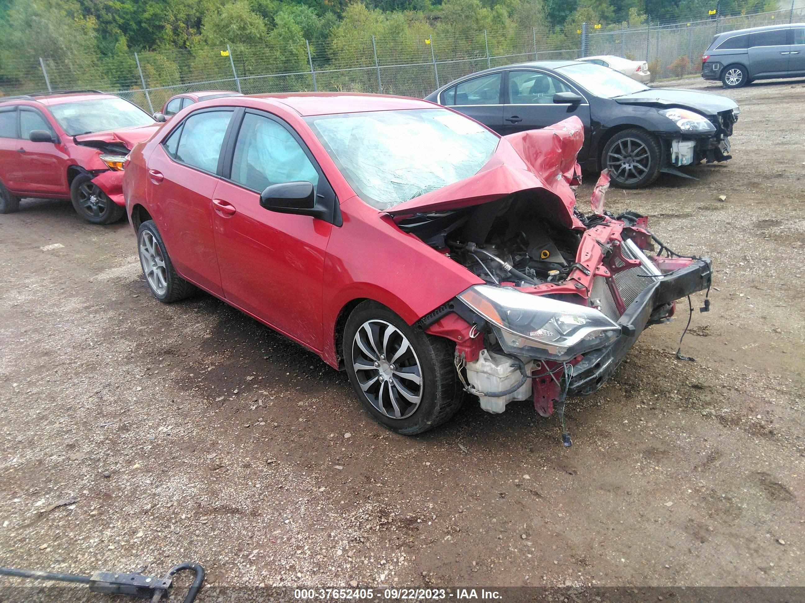 TOYOTA COROLLA 2016 2t1burhe0gc613687