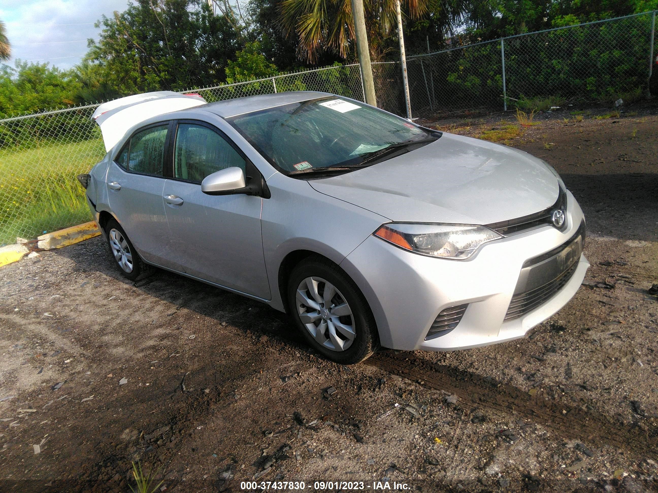 TOYOTA COROLLA 2016 2t1burhe0gc679527