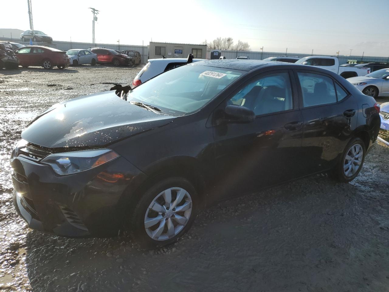 TOYOTA COROLLA 2016 2t1burhe0gc685442