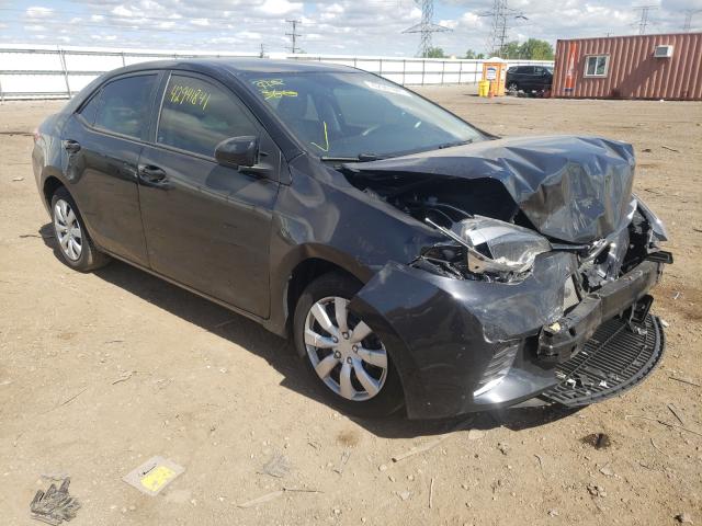 TOYOTA COROLLA 2016 2t1burhe0gc726524