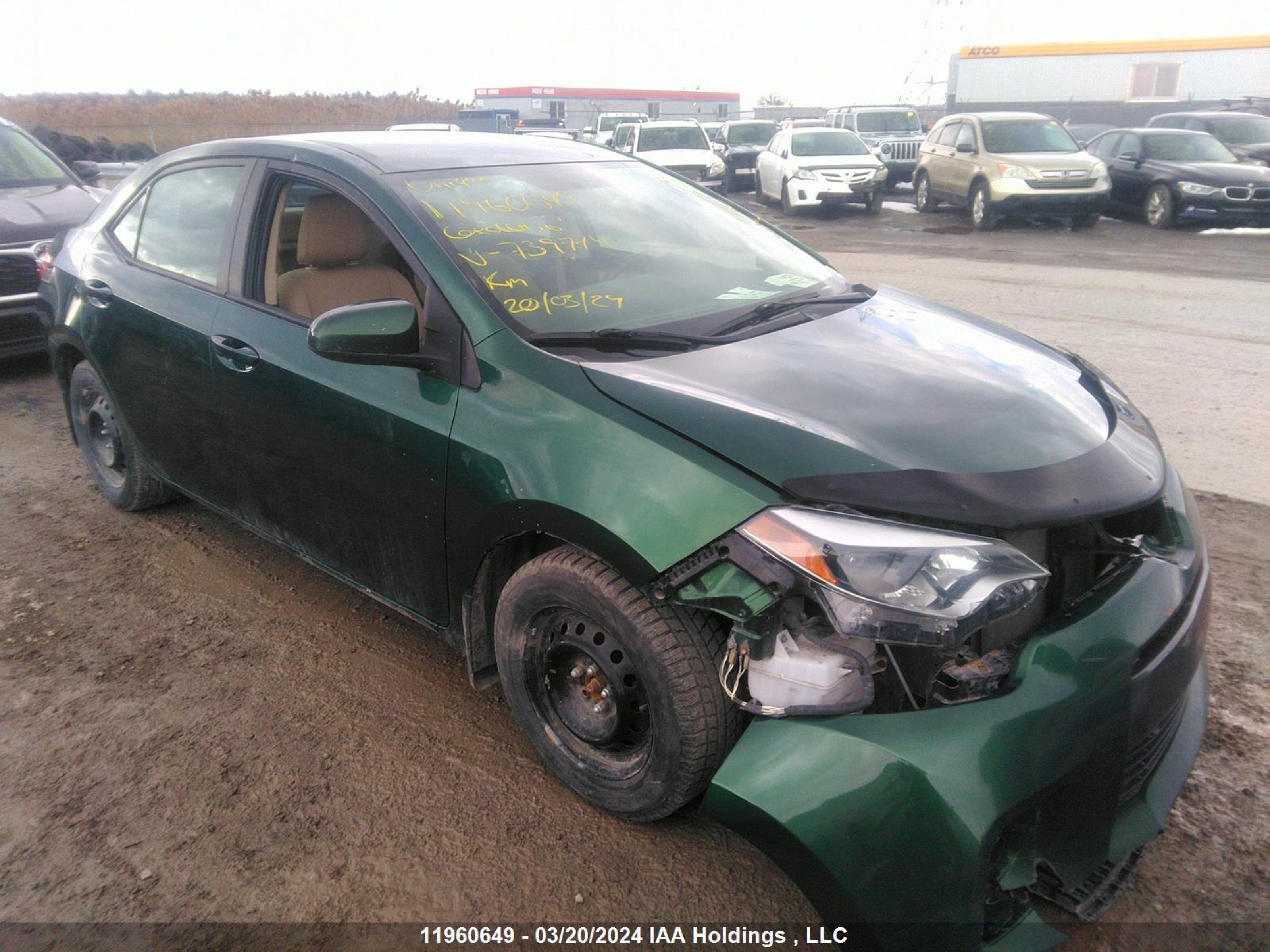 TOYOTA COROLLA 2016 2t1burhe0gc739774